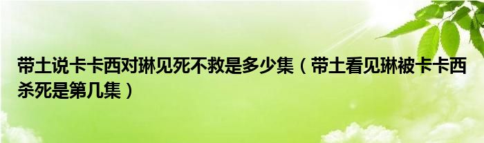 带土说卡卡西对琳见死不救是多少集（带土看见琳被卡卡西杀死是第几集）