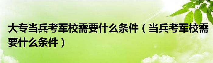 大专当兵考军校需要什么条件（当兵考军校需要什么条件）