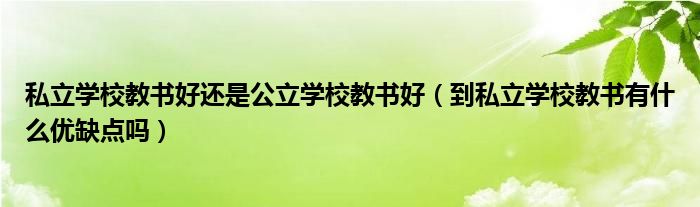 私立学校教书好还是公立学校教书好（到私立学校教书有什么优缺点吗）