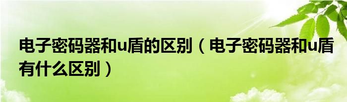 电子密码器和u盾的区别（电子密码器和u盾有什么区别）