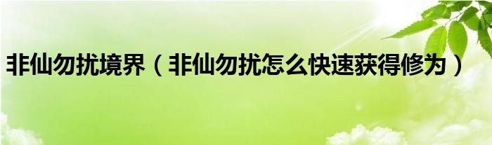 非仙勿扰境界（非仙勿扰怎么快速获得修为）