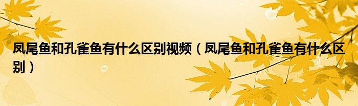 凤尾鱼和孔雀鱼有什么区别视频（凤尾鱼和孔雀鱼有什么区别）