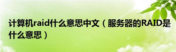 计算机raid什么意思中文（服务器的RAID是什么意思）