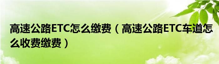 高速公路ETC怎么缴费（高速公路ETC车道怎么收费缴费）