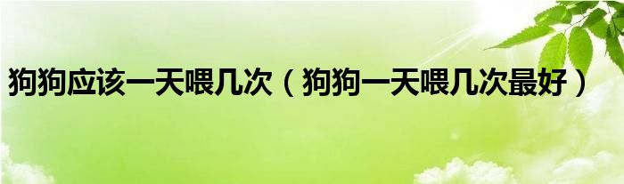 狗狗应该一天喂几次（狗狗一天喂几次最好）