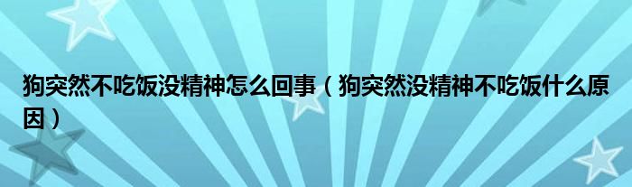 狗突然不吃饭没精神怎么回事（狗突然没精神不吃饭什么原因）