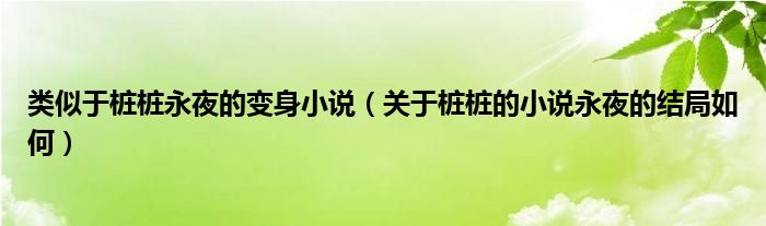 类似于桩桩永夜的变身小说（关于桩桩的小说永夜的结局如何）