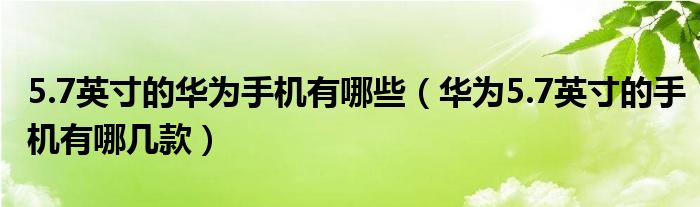 5.7英寸的华为手机有哪些（华为5.7英寸的手机有哪几款）