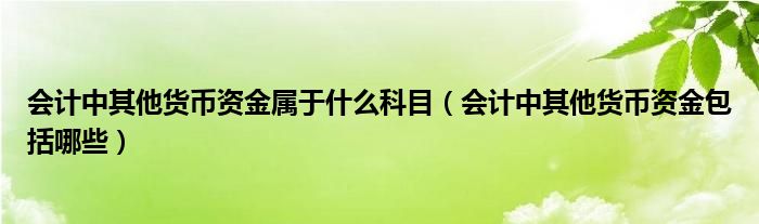 会计中其他货币资金属于什么科目（会计中其他货币资金包括哪些）