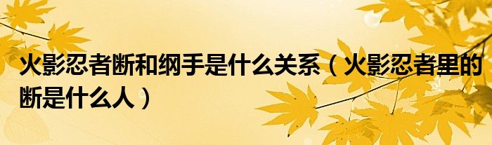 火影忍者断和纲手是什么关系（火影忍者里的断是什么人）