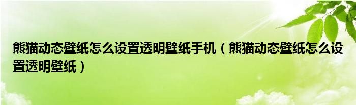 熊猫动态壁纸怎么设置透明壁纸手机（熊猫动态壁纸怎么设置透明壁纸）