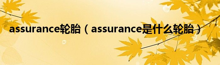 assurance轮胎（assurance是什么轮胎）