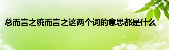 总而言之统而言之这两个词的意思都是什么