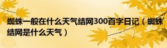 蜘蛛一般在什么天气结网300百字日记（蜘蛛结网是什么天气）