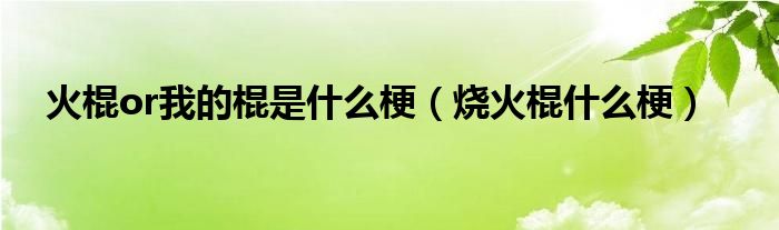 火棍or我的棍是什么梗（烧火棍什么梗）