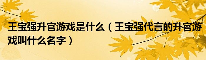 王宝强升官游戏是什么（王宝强代言的升官游戏叫什么名字）