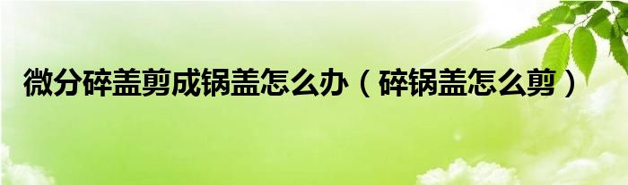 微分碎盖剪成锅盖怎么办（碎锅盖怎么剪）