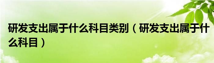 研发支出属于什么科目类别（研发支出属于什么科目）