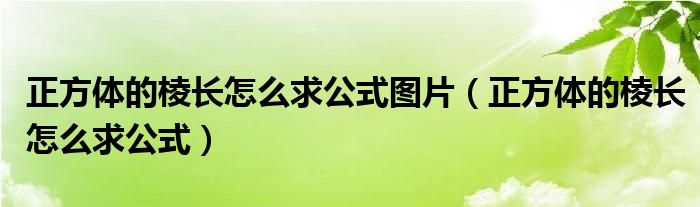 正方体的棱长怎么求公式图片（正方体的棱长怎么求公式）