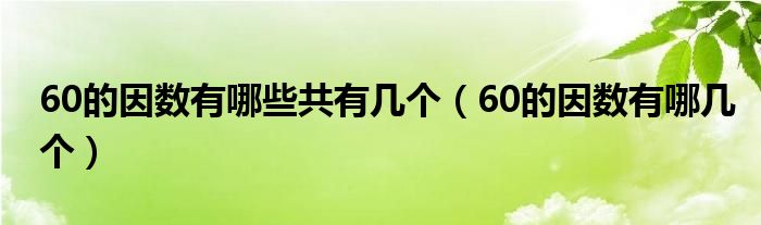 60的因数有哪些共有几个（60的因数有哪几个）