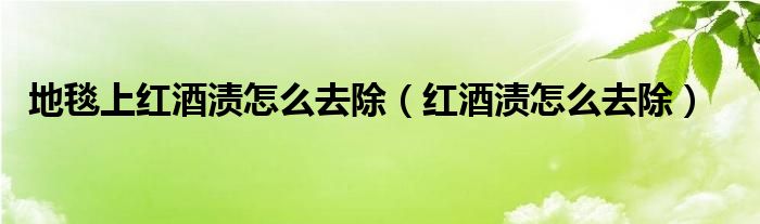 地毯上红酒渍怎么去除（红酒渍怎么去除）