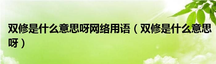 双修是什么意思呀网络用语（双修是什么意思呀）