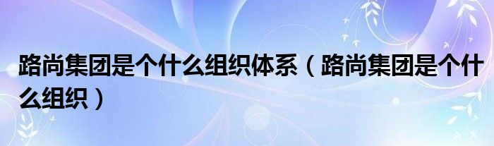 路尚集团是个什么组织体系（路尚集团是个什么组织）