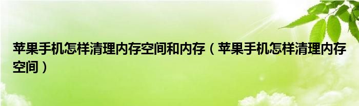 苹果手机怎样清理内存空间和内存（苹果手机怎样清理内存空间）