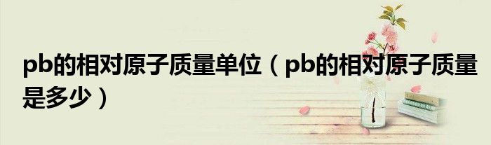 pb的相对原子质量单位（pb的相对原子质量是多少）