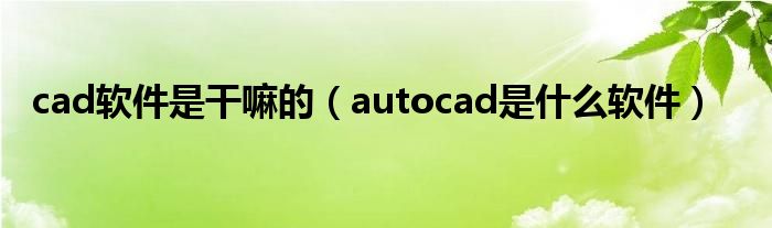 cad软件是干嘛的（autocad是什么软件）