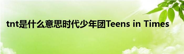 tnt是什么意思时代少年团Teens in Times