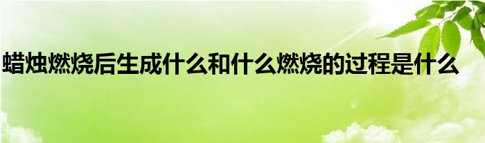 蜡烛燃烧后生成什么和什么燃烧的过程是什么