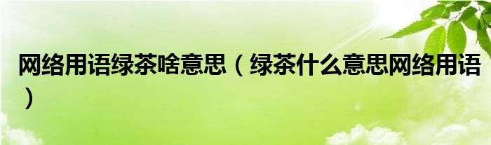 网络用语绿茶啥意思（绿茶什么意思网络用语）