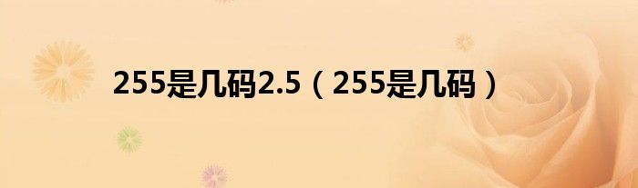 255是几码2.5（255是几码）