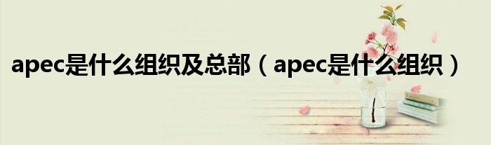 apec是什么组织及总部（apec是什么组织）