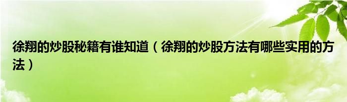 徐翔的炒股秘籍有谁知道（徐翔的炒股方法有哪些实用的方法）