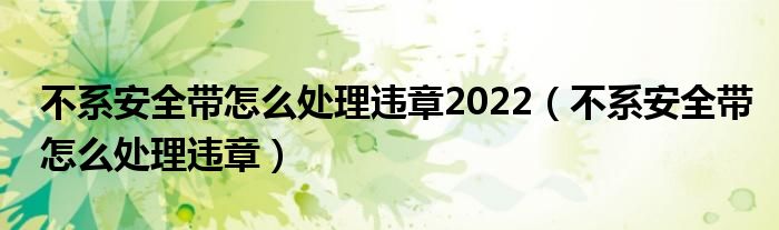 不系安全带怎么处理违章2022（不系安全带怎么处理违章）