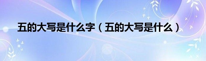 五的大写是什么字（五的大写是什么）