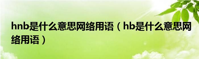 hnb是什么意思网络用语（hb是什么意思网络用语）