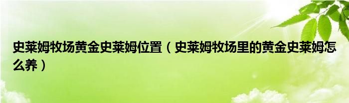 史莱姆牧场黄金史莱姆位置（史莱姆牧场里的黄金史莱姆怎么养）