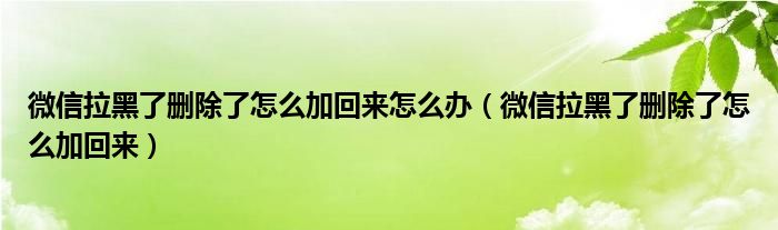 微信拉黑了删除了怎么加回来怎么办（微信拉黑了删除了怎么加回来）