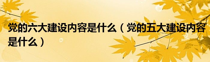 党的六大建设内容是什么（党的五大建设内容是什么）