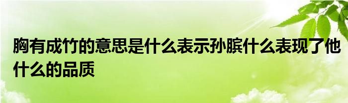 胸有成竹的意思是什么表示孙膑什么表现了他什么的品质