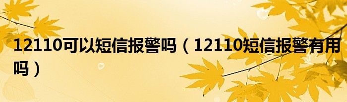 12110可以短信报警吗（12110短信报警有用吗）