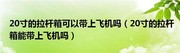 20寸的拉杆箱可以带上飞机吗（20寸的拉杆箱能带上飞机吗）