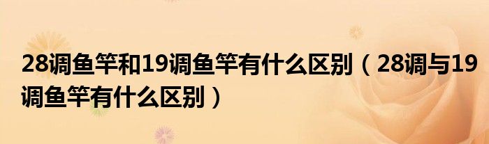 28调鱼竿和19调鱼竿有什么区别（28调与19调鱼竿有什么区别）