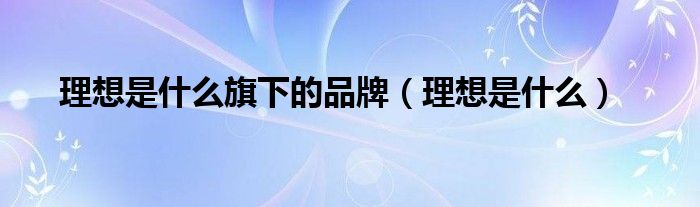 理想是什么旗下的品牌（理想是什么）