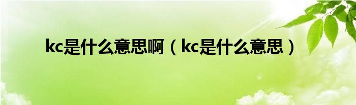 kc是什么意思啊（kc是什么意思）