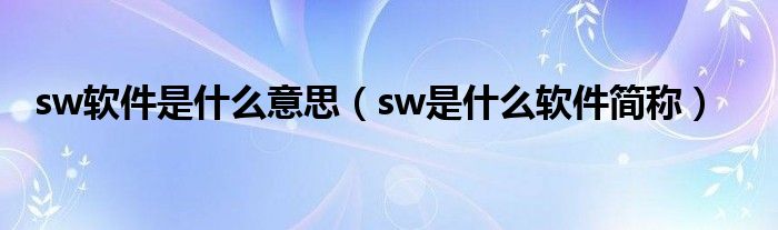 sw软件是什么意思（sw是什么软件简称）