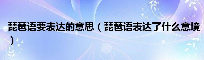 琵琶语要表达的意思（琵琶语表达了什么意境）